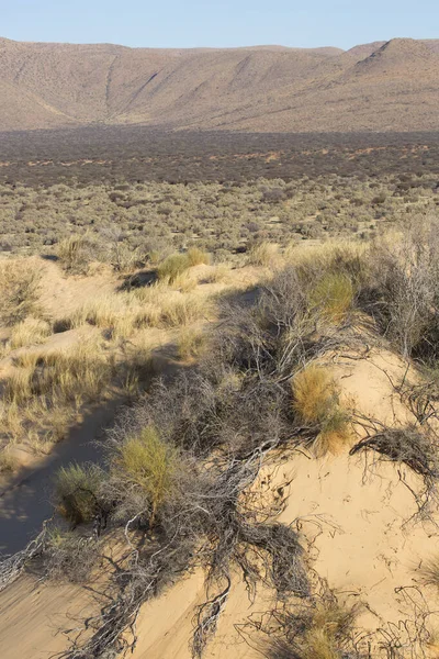 砂漠地帯の美しい風景 — ストック写真