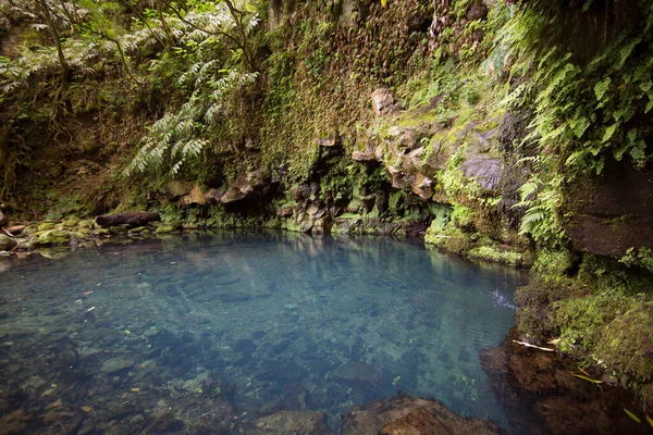 Красивий Вид Маленьке Озеро Тропічних Джунглях — стокове фото