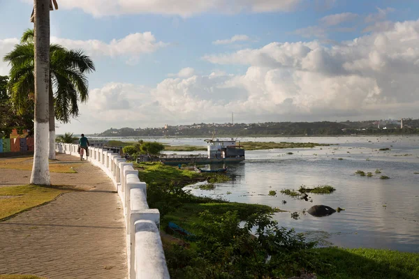 Nehir kıyısı manzaralı yeşillik
