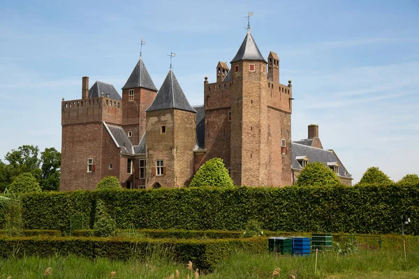 Bağlı şato ve geniş resmi bahçe, hanım evlatları, Viola, çiçek sınırları.