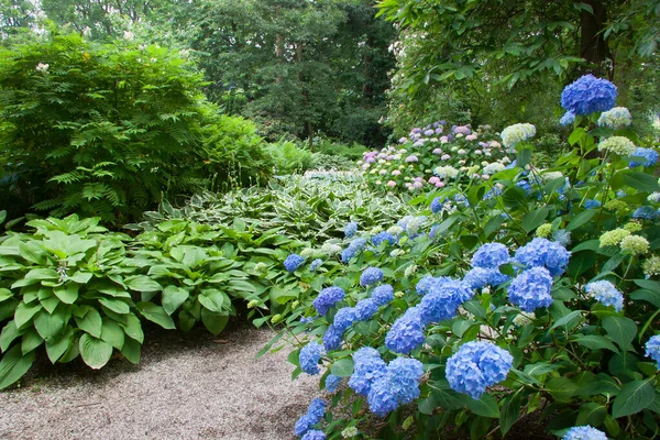 Mooie Tuin Zomer — Stockfoto