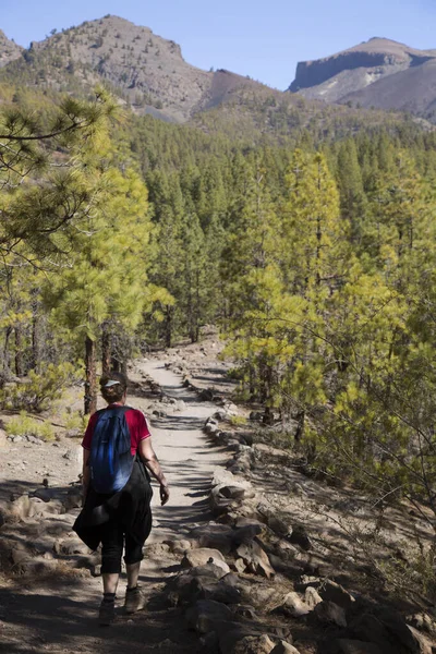 Dağlarda sırt çantalı tanınmayan turistler. Dağlarda sonbahar konsepti.