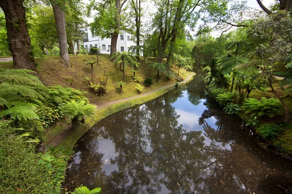 Vacker Utsikt Över Parken — Stockfoto