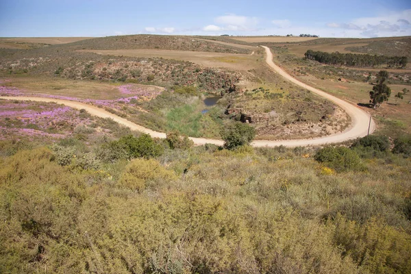 Estrada Deserto — Fotografia de Stock