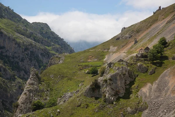 Dağları ve mavi gökyüzü olan güzel bir manzara.