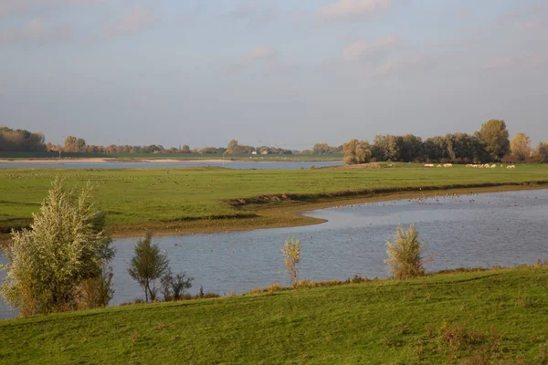 Nehirli güzel bir manzara