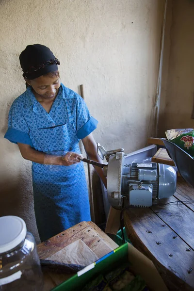 Kasabadaki müze manzarası