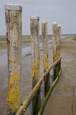 Çamurdaki ahşap çit