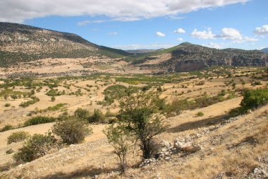 Tipik engebeli dağ yaban hayatı.