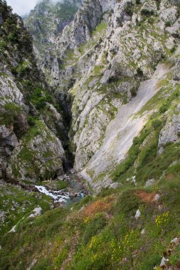 Yeşil çimenleri ve mavi gökyüzü olan güzel dağ manzarası
