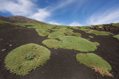Etna Dağı 'nın krater kenarı lav tarlaları ve dik yamaçlar. Çakıl taşlarıyla kaplı. Güçlü öncü bitkiler tarafından büyütülmüş.