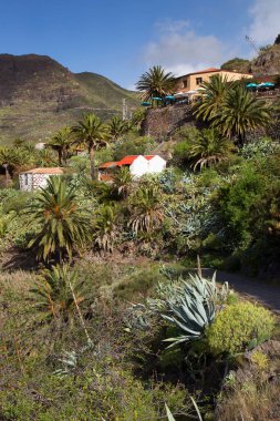 Bulutlu gökyüzü ile yeşil dağ manzarası