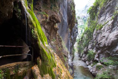 Dağ nehri ve mağaraların güzel manzarası