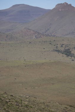 Çöldeki dağların manzarası