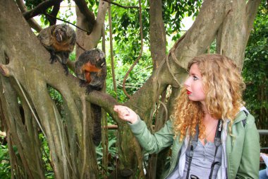 Maymunlarla oynayan genç kadın.