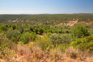 Yeşil alan güzel görünümü