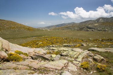 Bulutlu gökyüzünün altındaki dağlık manzaranın görüntüsü