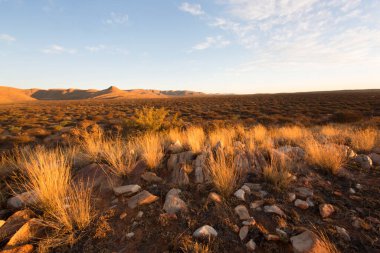 Çölün güzel manzarası
