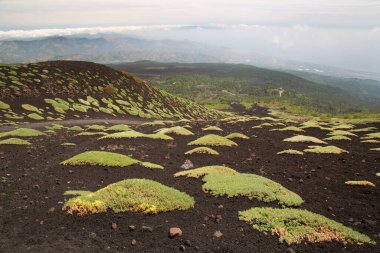 Etna Dağı 'nın krater kenarı lav tarlaları ve dik yamaçlar. Çakıl taşlarıyla kaplı. Güçlü öncü bitkiler tarafından büyütülmüş.