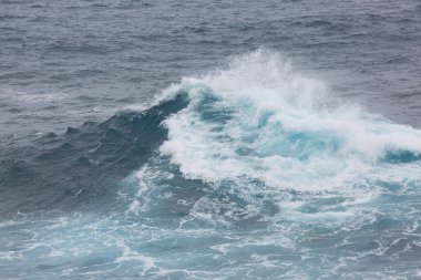 Dalgalar sahile çarpıyor.