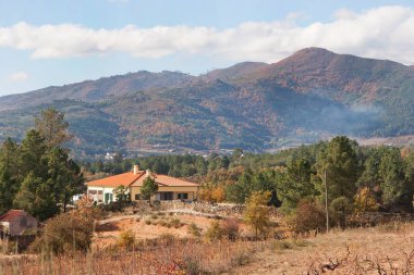 Güneşli bir günde güzel doğa manzarası