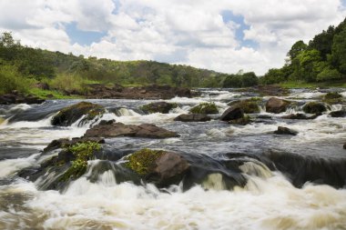 Tropikal ormanda akan kayalık nehir manzarası
