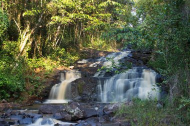 Tropikal ormanda akan kayalık nehir manzarası