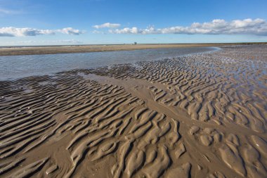 Gündüz vakti kıyı şeridinin manzarası