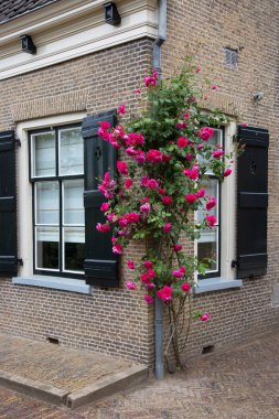 Stockholm şehrinin güzel manzarası