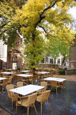 Şehrin güzel mimarisi, Gouda Müzesi.