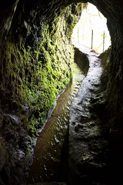 Mağaradaki derenin güzel manzarası