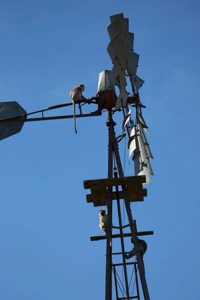 Gammal Rostig Metallstång Mot Blå Himmel — Stockfoto