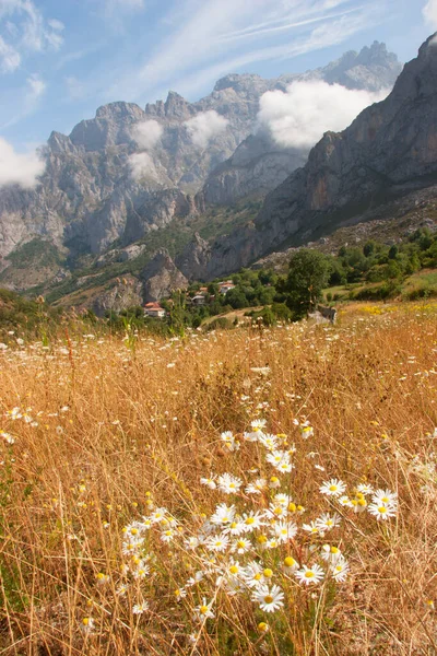 Dağların güzel manzarası