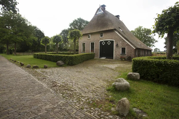 Vue Sur Une Maison Typiquement Hollandaise Campagne — Photo