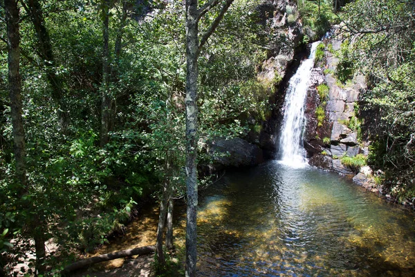 Schöner Wasserfall Umgeben Von Viel Grün Sonnenlicht — Stockfoto