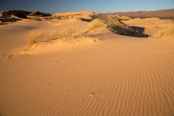 Hermoso Paisaje Zona Del Desierto — Foto de Stock