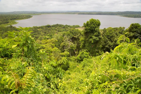 Piękny Krajobraz Tropikalną Zielenią Rzeką — Zdjęcie stockowe