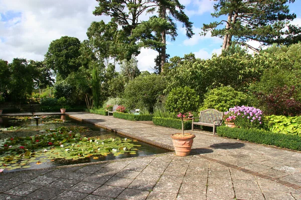 Schöner Blick Auf Den Garten Sommer — Stockfoto