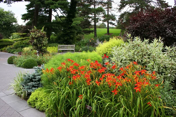 Parque Com Belas Flores Plantas — Fotografia de Stock