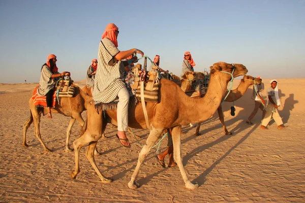 Vista Persone Che Cavalcano Cammelli Nel Deserto — Foto Stock
