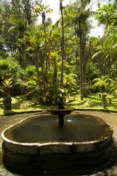 Belo Jardim Tropical Com Flores — Fotografia de Stock