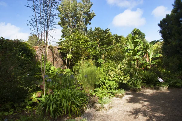 Güzel botanik manzarası