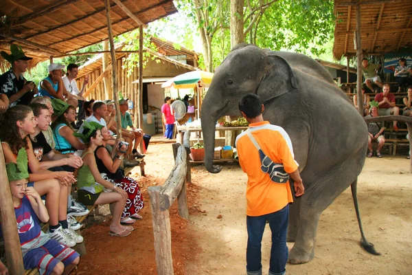 Touristes Regardant Spectacle Avec Éléphant Asie — Photo