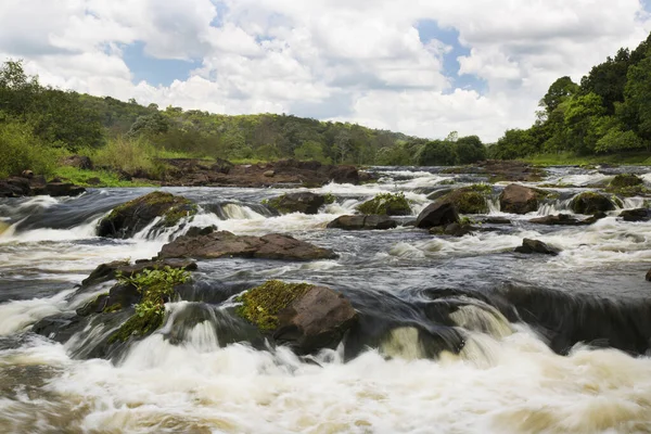 Tropikal ormanda akan kayalık nehir manzarası