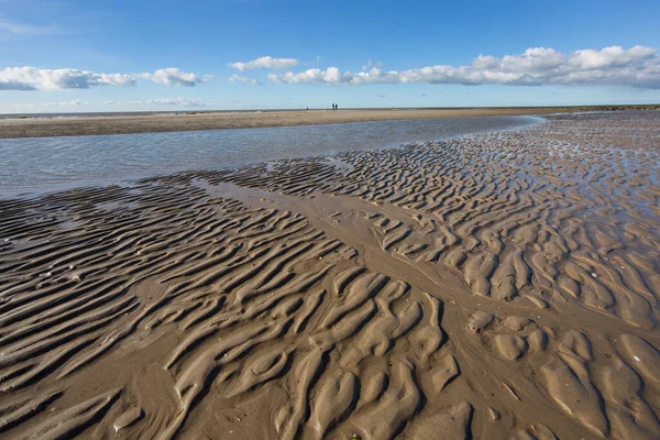 Gündüz vakti kıyı şeridinin manzarası
