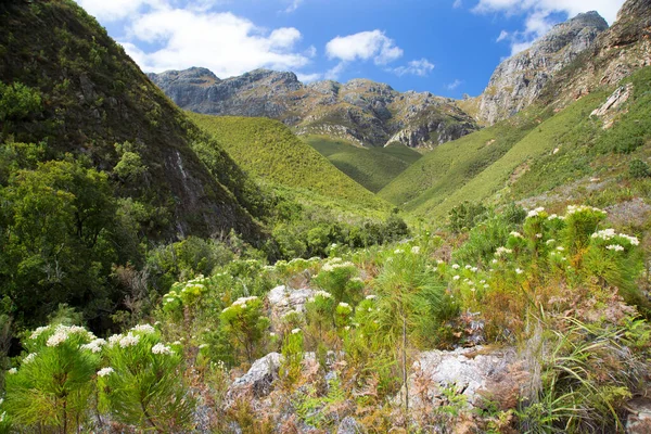 Dağları ve nehri olan güzel bir manzara.