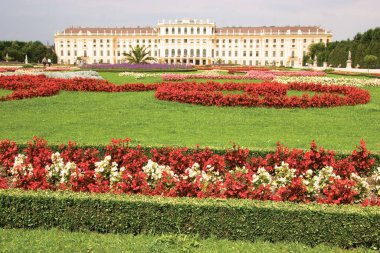 Viyana, Avusturya 'daki Versay Sarayı' nın güzel manzarası.
