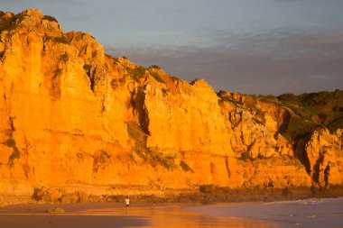 Kayalık kıyılar, kayalıklar ve kayalar denizlerde
