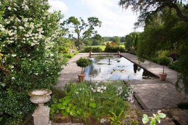 Su zambakları parkta bir gölette