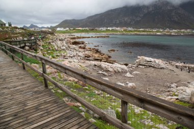 Güzel deniz manzarası